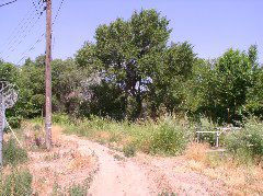 Trail on other side of acequia