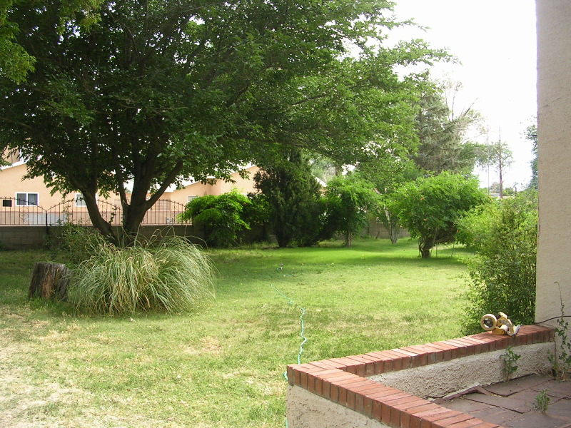Front yard from side of house
