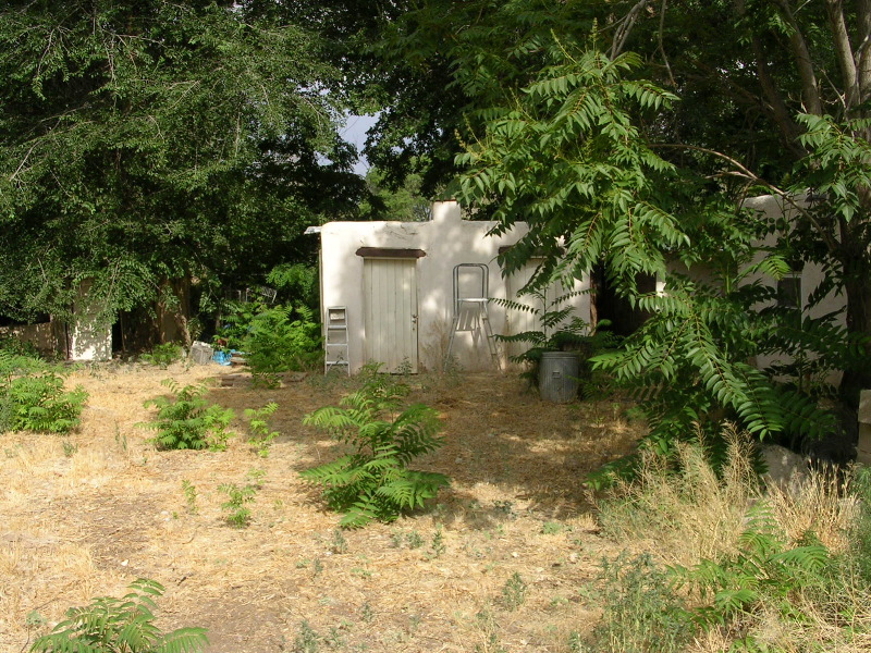 East view of adobe shed behind studio